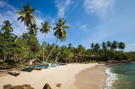Villa Lucky Star Tangalle Eksteriør billede